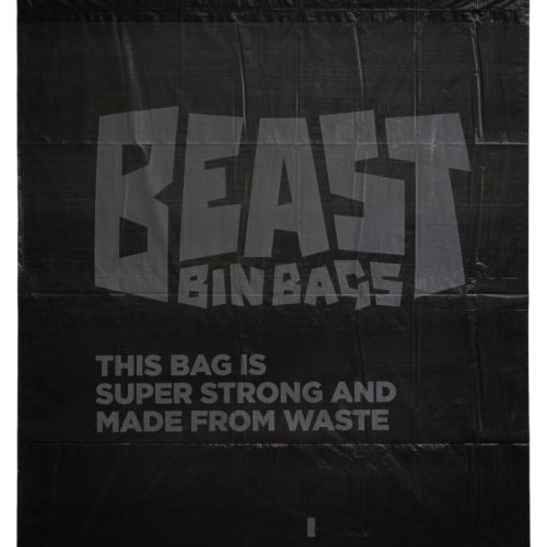 0013-Beast_AdriennePhotography2023-65122-768x877